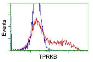 TPRKB Antibody (clone OTI3H3)