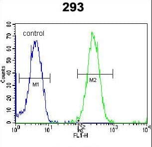 Polyclonal Rabbit anti-Human ZNF780A Antibody (aa54-83, WB)