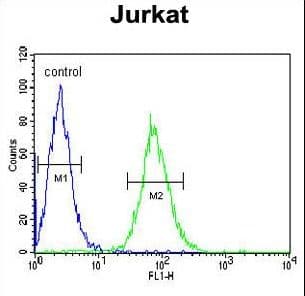 Polyclonal Rabbit anti-Human GGNBP2 / ZNF403 Antibody (aa647-676, IHC, WB)