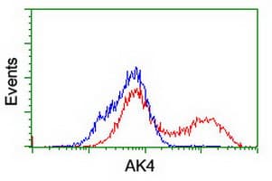 AK4 / Adenylate Kinase 4 Antibody (clone OTI2D1, Carrier-free)