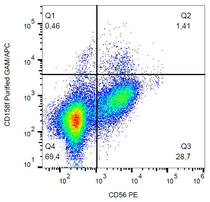 Monoclonal Mouse anti-Human KIR2DL5A / KIR2DL5 Antibody (clone UP-R1)