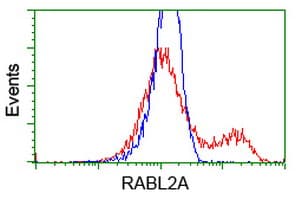RABL2A Antibody (clone OTI4A8)