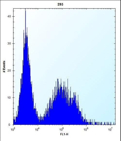 TSSK6 Antibody (aa198-228)
