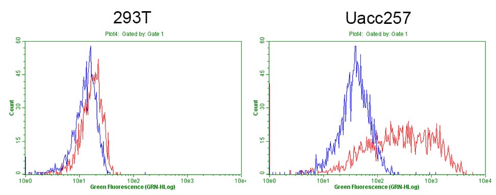CD68 Antibody (clone KP1)
