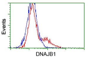 DNAJB1 / Hsp40 Antibody (clone OTI1E10)