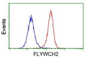 FLYWCH2 Antibody (clone OTI2F5)