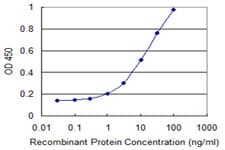 CLN3 Antibody (clone 1G10)