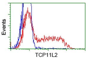 TCP11L2 Antibody (clone OTI3H7)