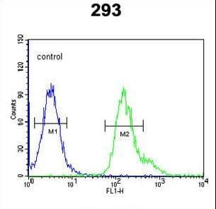 PMPCB / MPP11 Antibody (aa18-46)