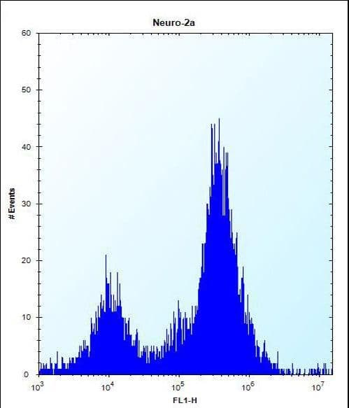 IRAK1 / IRAK Antibody (aa405-433)