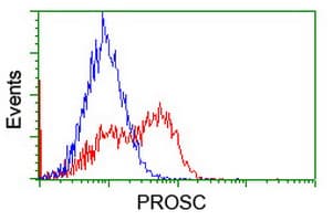 Monoclonal Mouse anti-Human PROSC Antibody (clone OTI2H1, WB)