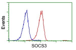 SOCS3 Antibody (clone OTI3B8, Carrier-free)