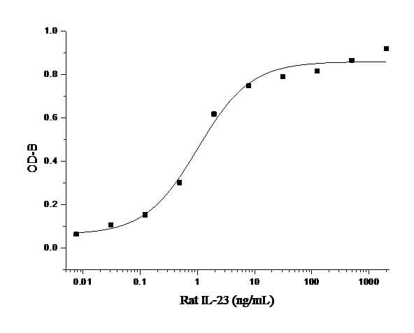 Rat IL23 Protein (Recombinant His,C-terminus)