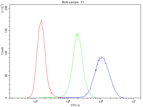 GSR / Glutathione Reductase Antibody