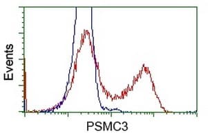 PSMC3 Antibody (clone OTI1G4)
