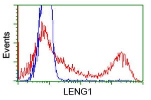 LENG1 Antibody (clone OTI1G10)
