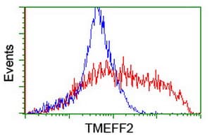 TMEFF2 Antibody (clone OTI1E4)