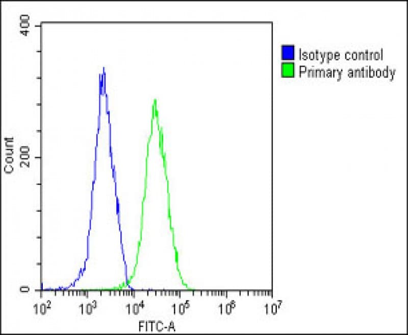 INTS3 Antibody (Internal)