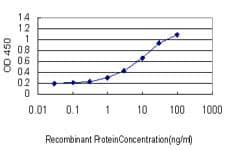 Monoclonal Mouse anti-Human HEYL Antibody (clone 1F6, IHC, IF, WB)