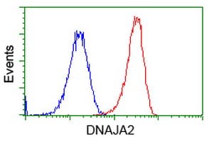 DNAJA2 Antibody (clone OTI3H10)