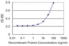LACC1 Antibody (clone 2A1)