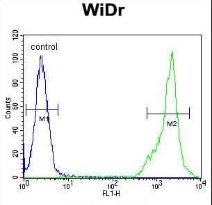 IHC-plus™ C4BPA / C4BP Alpha Antibody (aa470-499)