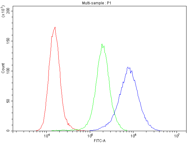 ATXN2 / SCA2 / Ataxin-2 Antibody (aa1293-1313)