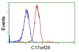 HID1 / C17orf28 Antibody (clone OTI2F4, Carrier-free)