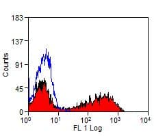 MHC Class II Antibody (clone IL-A21, RPE)