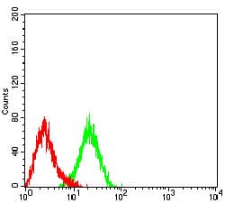 ITGB4 / Integrin Beta 4 Antibody (clone 1D6B4)