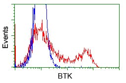 BTK Antibody (clone OTI3A2)