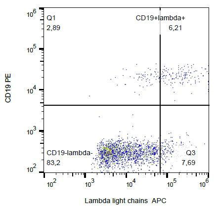 Mouse Anti-Human Lambda Light Chain Secondary Antibody (clone 4C2, APC)
