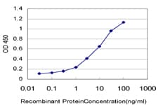 ZNF136 Antibody (clone 5E9)