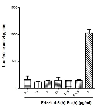 Human FZD5 / Frizzled 5 Protein (Recombinant Human IgG1 Fc)