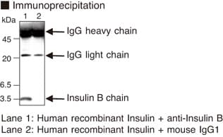 Insulin Antibody (clone 1C5A)