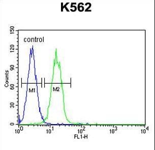 KDM4C / JMJD2C Antibody (aa1023-1056)