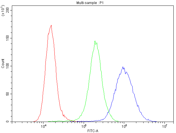 CCNB1 / Cyclin B1 Antibody (aa1-433)