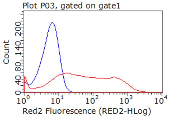CD274 / B7-H1 / PD-L1 Antibody (clone OTI8C8)