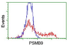 PSMB9 Antibody (clone OTI3H1)