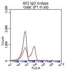 BTLA / CD272 Antibody (clone 2E4)
