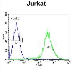 TMEM173 / STING Antibody (aa311-340)