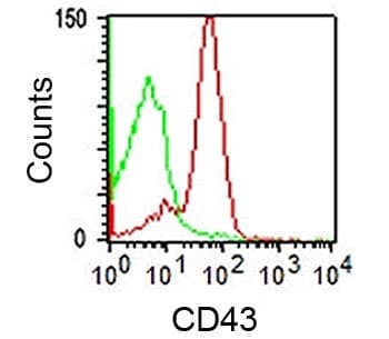 SPN / CD43 Antibody (clone DF-T1, Azide-free, BSA-free)
