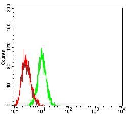 Monoclonal Mouse anti-Human PVRL3 / Nectin-3 Antibody (clone 6D5B2, WB)