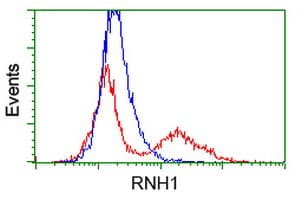 RNH1 Antibody (clone OTI1B7)