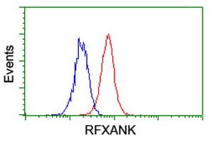 RFXANK Antibody (clone OTI2F12)