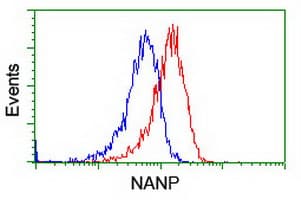 NANP Antibody (clone OTI4D11)