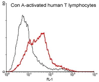 TNFRSF9 / 4-1BB / CD137 Antibody