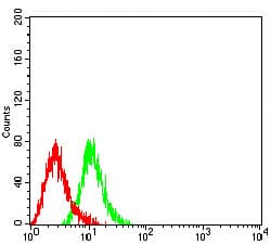 Monoclonal Mouse anti-Human ITGB4 / Integrin Beta 4 Antibody (clone 5G3G5, IHC, WB)