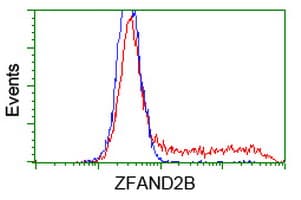 ZFAND2B Antibody (clone OTI1G10)
