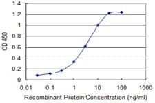 Monoclonal Mouse anti-Human SH3RF1 / POSH Antibody (clone 1F7, WB)